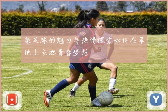 柴足球的魅力与热情探索如何在草地上点燃青春梦想